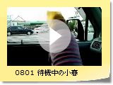 0801 ҋ@̏t
