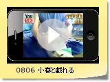 0806 tƋY