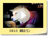 0810@̓p