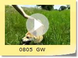 0805@GW