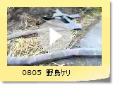 0805@쒹P