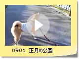 0901@̌