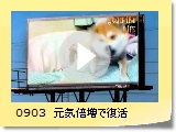0903@C{ŕ