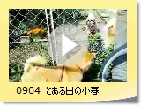 0904@Ƃ̏t