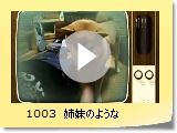 1003@ô悤