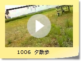 1006@[U
