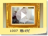 1007@Z