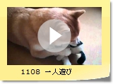 1108@lV