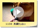 1108@C肵Ȃ
