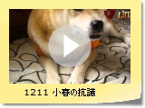 1211 t̍Rc