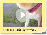 110428@ɋCtȂ