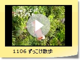 1106 U