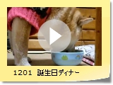 1201@afBi[