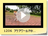 1206@ANA[hp[NZ^[