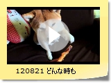 120821 ǂȎ