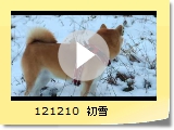 121210@