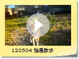 120504 U