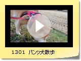 1301@pcU