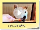 130129 